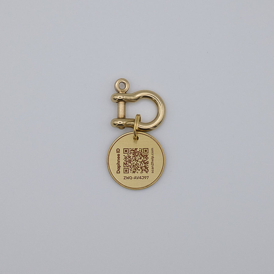 Karabiner Schloss rund goldfarben